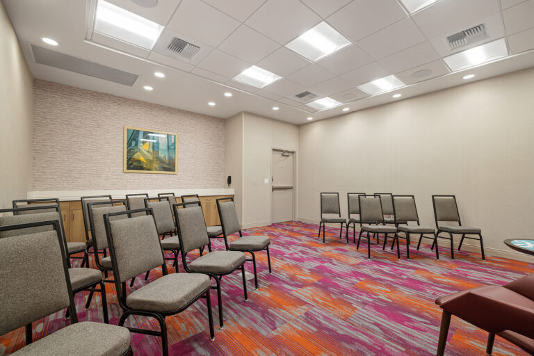A small conference room with rows of gray chairs on a colorful carpet. The walls are beige, and a painting hangs on the far wall. The ceiling has recessed lighting and acoustic panels.